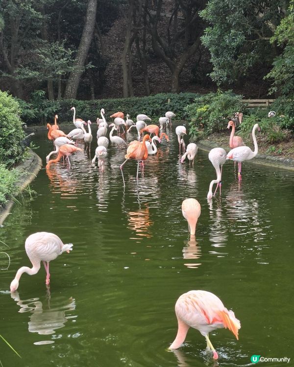福岡篇：海之中道海濱公園一日遊攻略