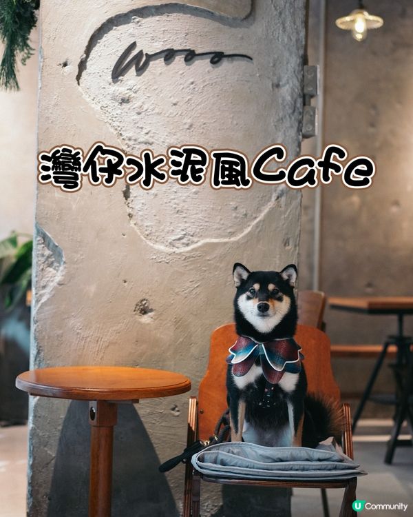 灣仔水泥風寵物友善Cafe
