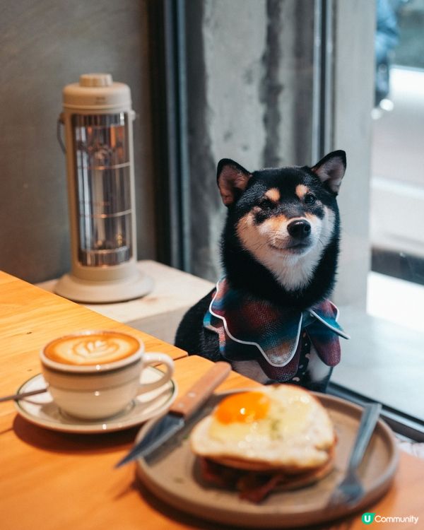 灣仔水泥風寵物友善Cafe