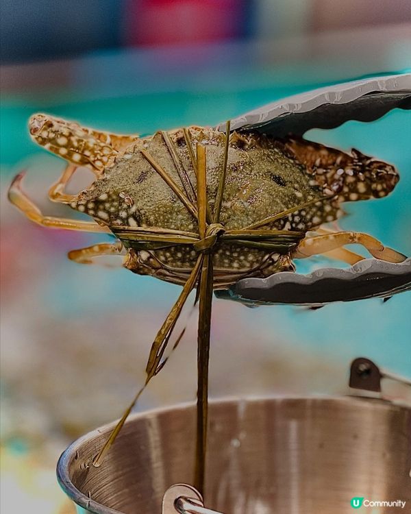 🔥超扺🔥人均三百零就可以輕鬆實現海鮮自由 👍🏻
