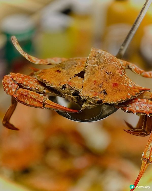 🔥超扺🔥人均三百零就可以輕鬆實現海鮮自由 👍🏻