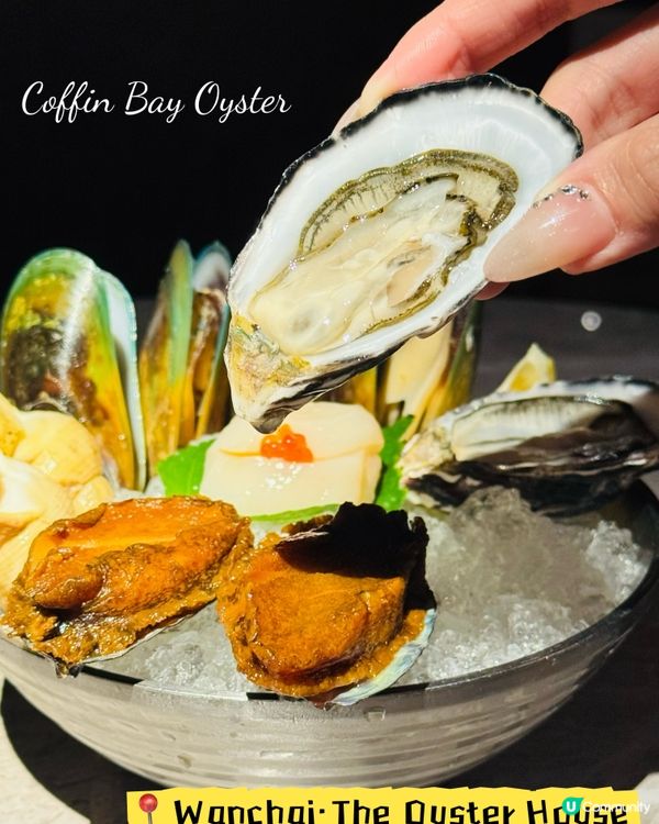 灣仔The Oyster House•必食海鮮拼盤🦪