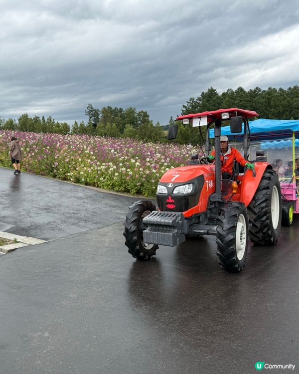 北海道自由行主線任務：富良野四季彩之丘
