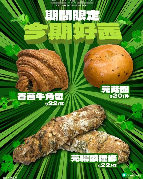 【❤️「芫」美的好「茜」】