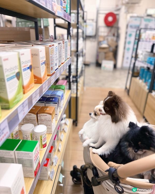 Gogo Herbs一站式選購保健品