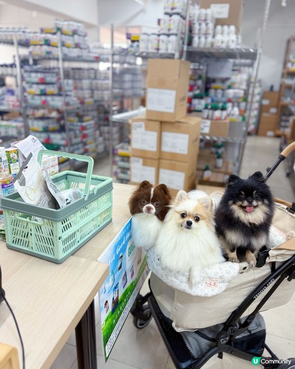 Gogo Herbs一站式選購保健品