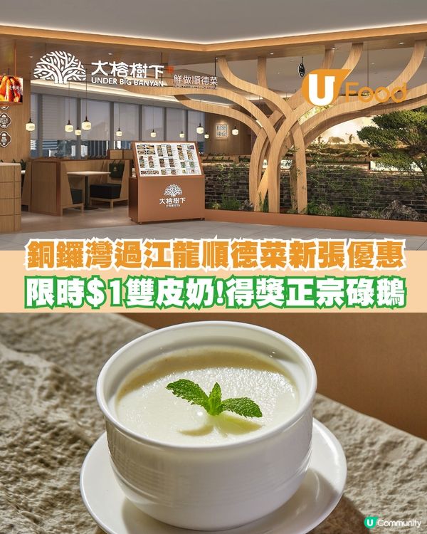 人氣順德菜「大榕樹下」插旗銅鑼灣！限定$1雙皮奶優惠/必試招牌碌鵝