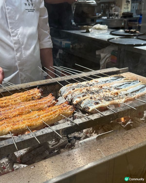 銅鑼灣鰻魚飯🤤！四代目菊川超正！😋