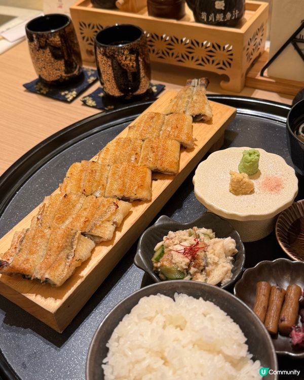 銅鑼灣鰻魚飯🤤！四代目菊川超正！😋