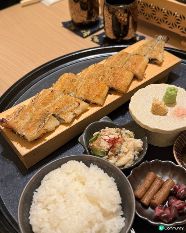 銅鑼灣鰻魚飯🤤！四代目菊川超正！😋