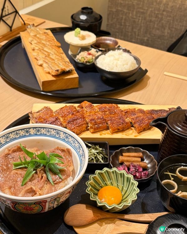 銅鑼灣鰻魚飯🤤！四代目菊川超正！😋