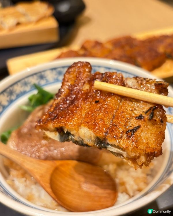 銅鑼灣鰻魚飯🤤！四代目菊川超正！😋