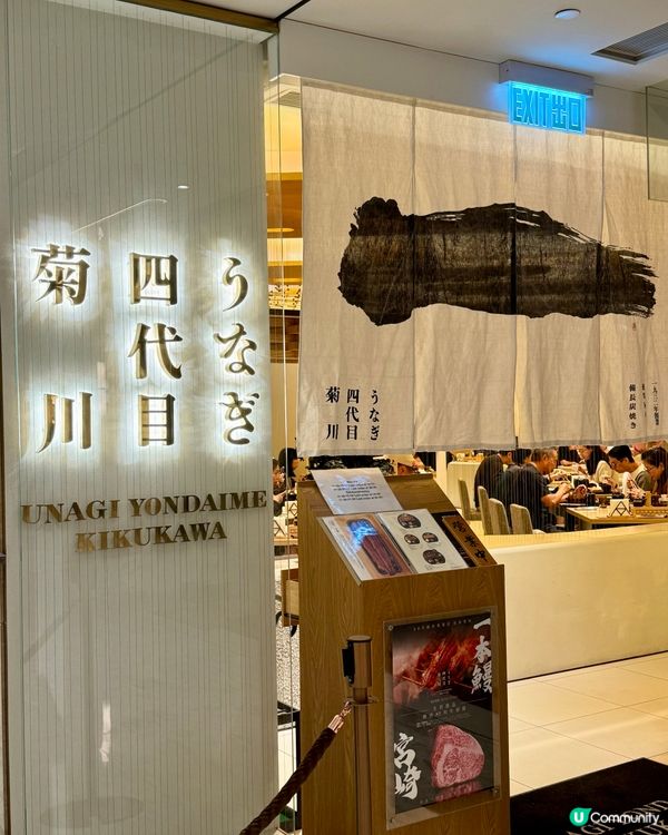 銅鑼灣鰻魚飯🤤！四代目菊川超正！😋