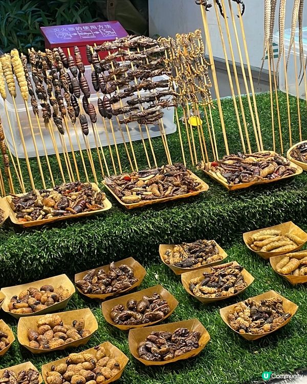 星光夜市･燈火裡的人間煙火