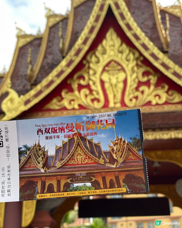 🌿 曼聽御花園｜昔日傣王的靈魂之園