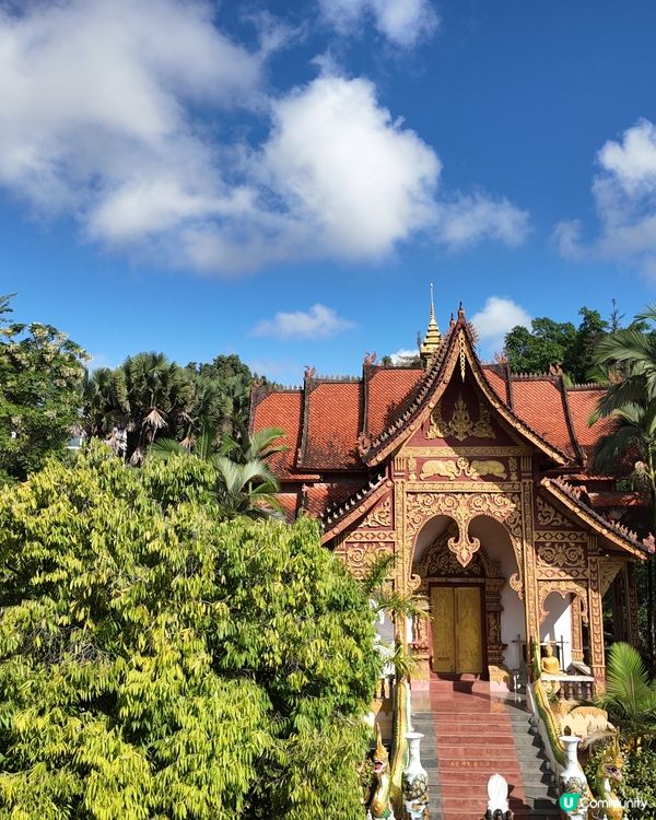 🌿 曼聽御花園｜昔日傣王的靈魂之園