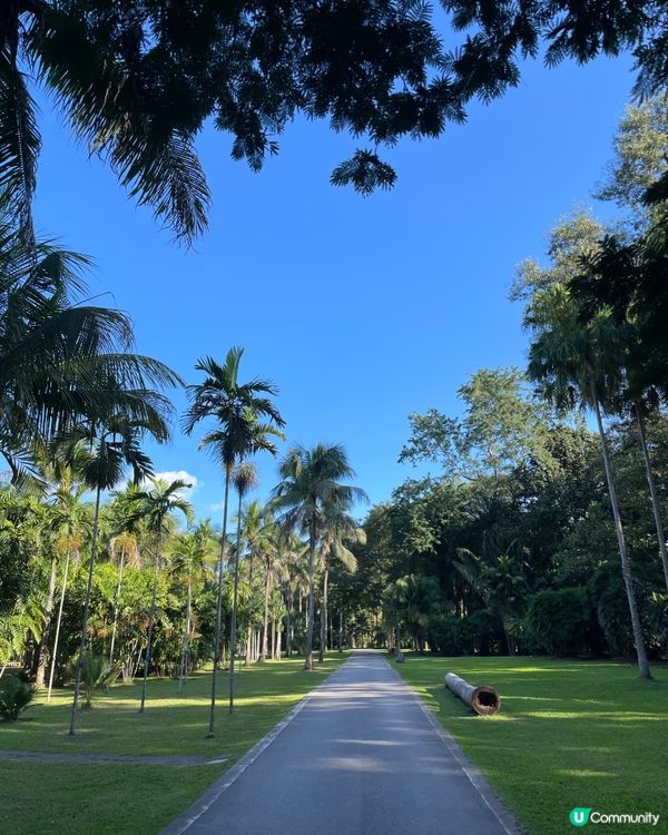 西雙版納植物園🌿！觀光車遊園攻略🚌！ 