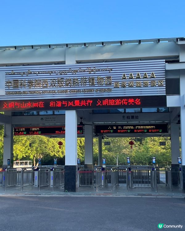 西雙版納植物園🌿！觀光車遊園攻略🚌！ 