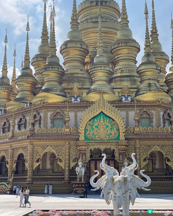 西雙版納大佛寺，靜心之旅🧘‍♀️✨