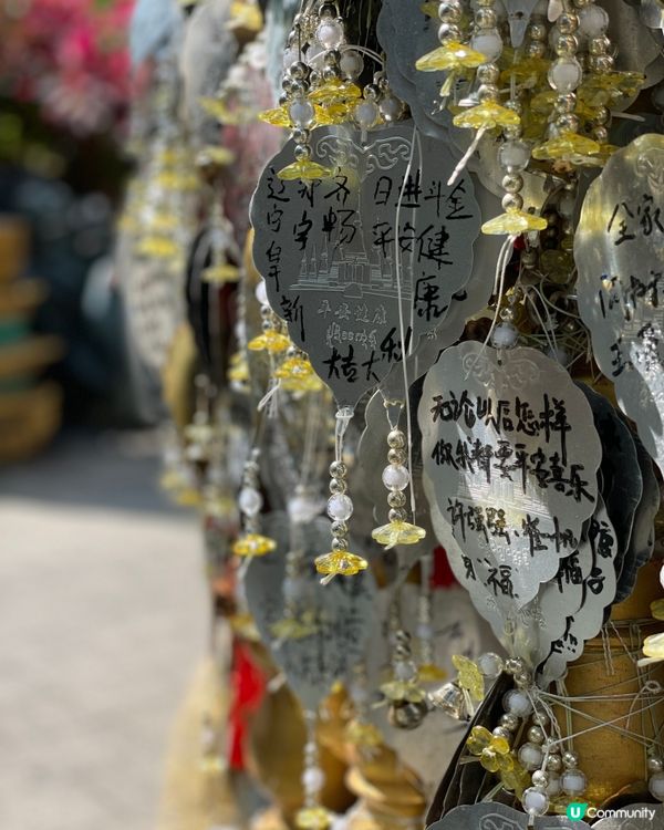 西雙版納大佛寺，靜心之旅🧘‍♀️✨