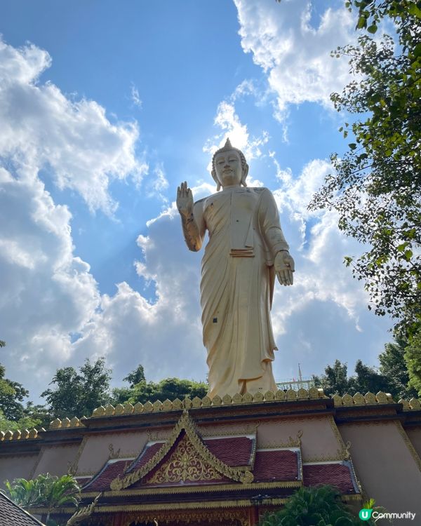 西雙版納大佛寺，靜心之旅🧘‍♀️✨