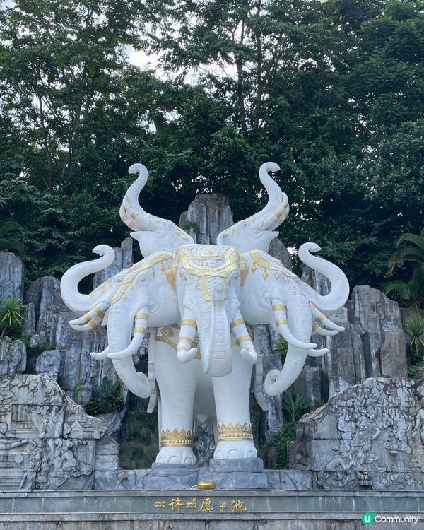 西雙版納大佛寺，靜心之旅🧘‍♀️✨