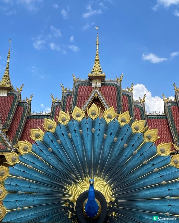 西雙版納大佛寺，靜心之旅🧘‍♀️✨