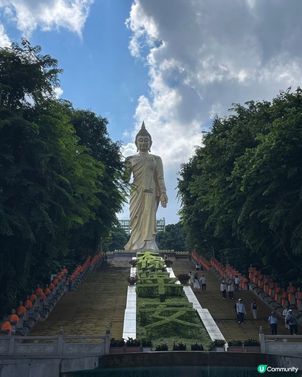 西雙版納大佛寺，靜心之旅🧘‍♀️✨