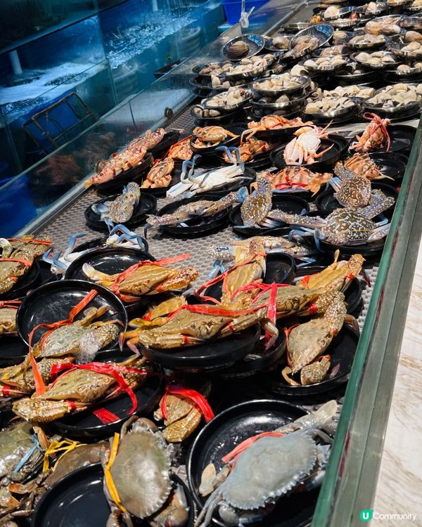 深圳海鮮火鍋🤤撈鮮門！海鮮控必去！🦞🦀🔥