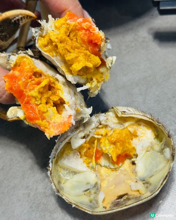 深圳海鮮火鍋🤤撈鮮門！海鮮控必去！🦞🦀🔥