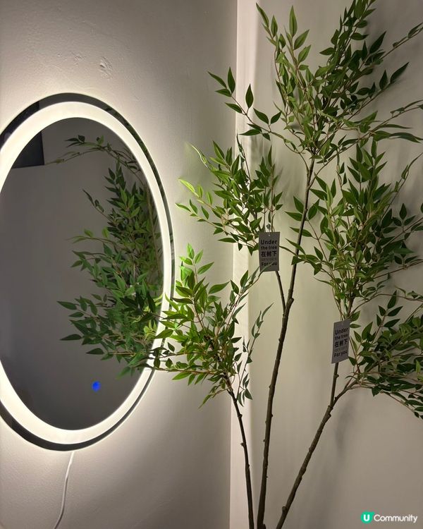 深圳頭療💆🏻‍♀️！羅湖1站直達勁爽！128蚊🤩