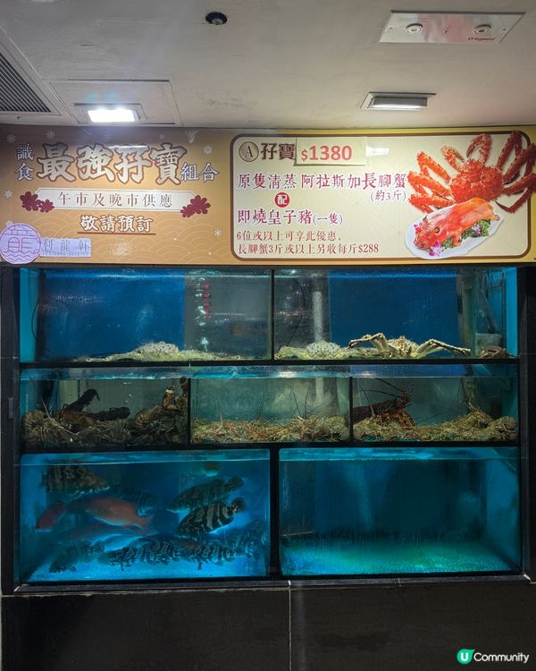 9折大閘蟹套餐🦀！爆膏蟹乸+羊腩煲🤤！快啲衝！