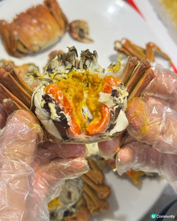 9折大閘蟹套餐🦀！爆膏蟹乸+羊腩煲🤤！快啲衝！