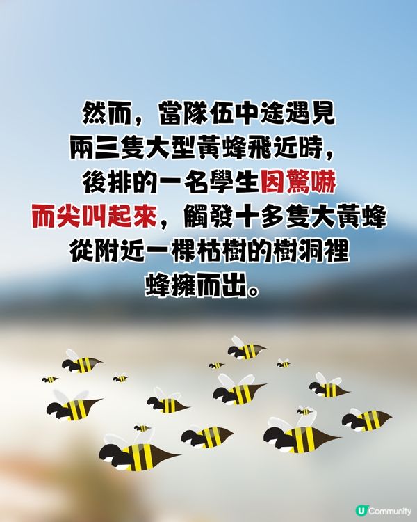 遊日必讀！防熊「大叫」反惹黃蜂狂襲😱19人登山受傷！園方提醒：秋季屬危險期🚨附3大防熊自保新法