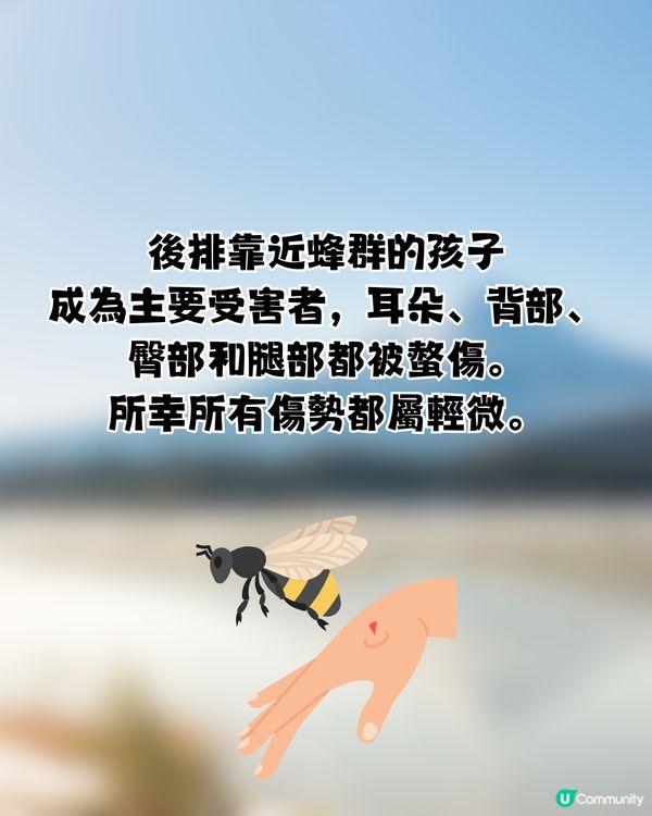 遊日必讀！防熊「大叫」反惹黃蜂狂襲😱19人登山受傷！園方提醒：秋季屬危險期🚨附3大防熊自保新法