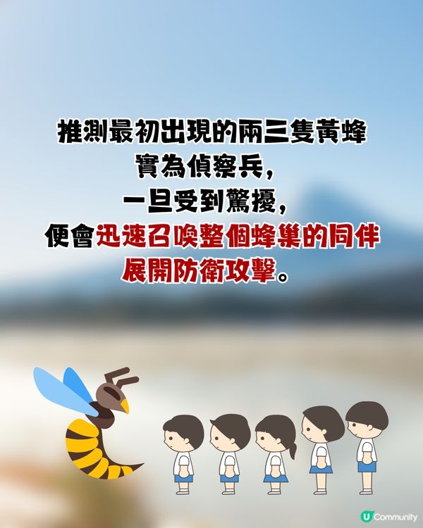 遊日必讀！防熊「大叫」反惹黃蜂狂襲😱19人登山受傷！園方提醒：秋季屬危險期🚨附3大防熊自保新法