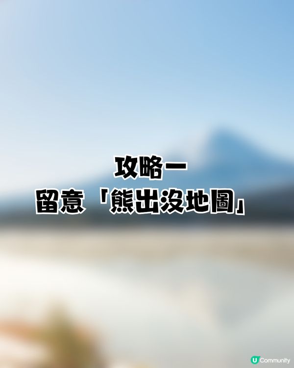 遊日必讀！防熊「大叫」反惹黃蜂狂襲😱19人登山受傷！園方提醒：秋季屬危險期🚨附3大防熊自保新法
