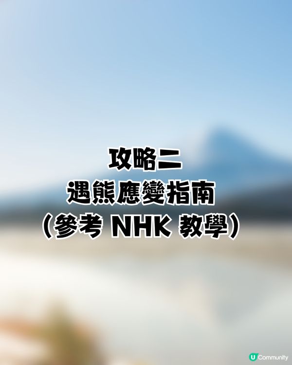 遊日必讀！防熊「大叫」反惹黃蜂狂襲😱19人登山受傷！園方提醒：秋季屬危險期🚨附3大防熊自保新法