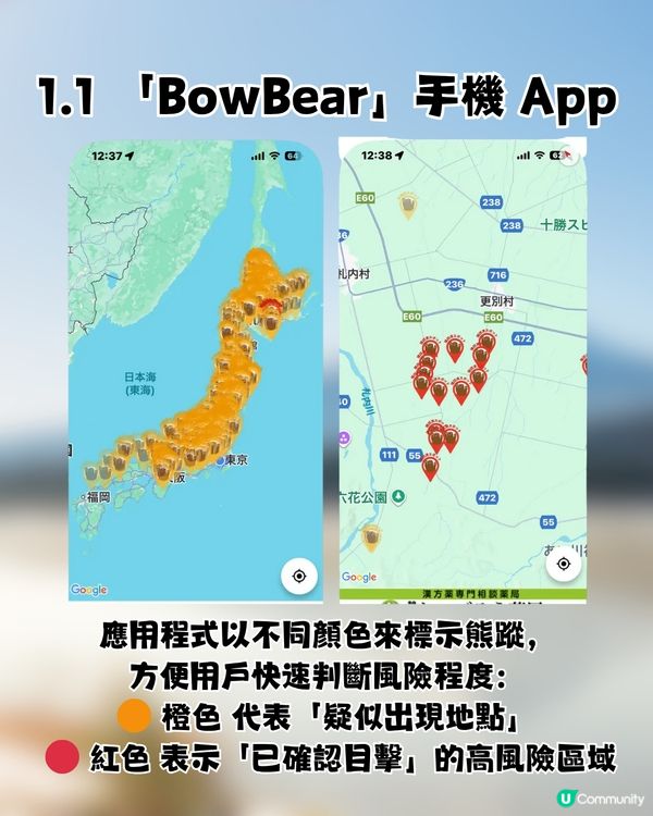 遊日必讀！防熊「大叫」反惹黃蜂狂襲😱19人登山受傷！園方提醒：秋季屬危險期🚨附3大防熊自保新法