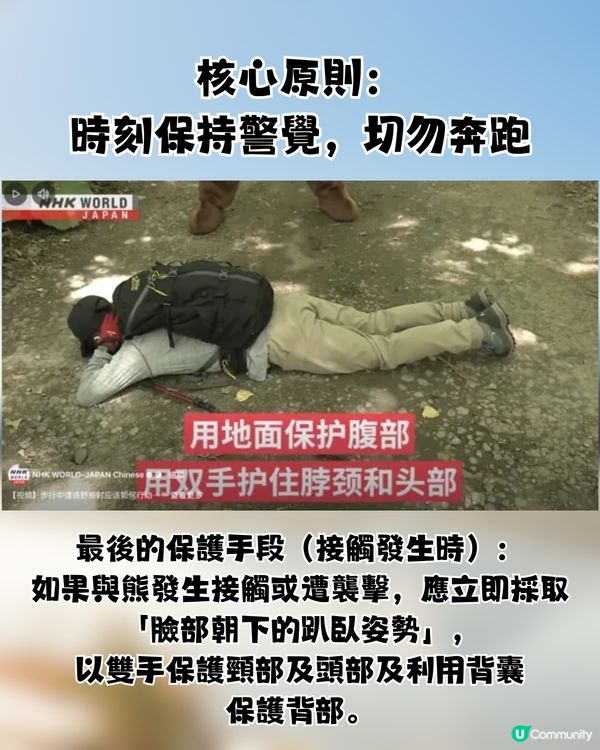 遊日必讀！防熊「大叫」反惹黃蜂狂襲😱19人登山受傷！園方提醒：秋季屬危險期🚨附3大防熊自保新法