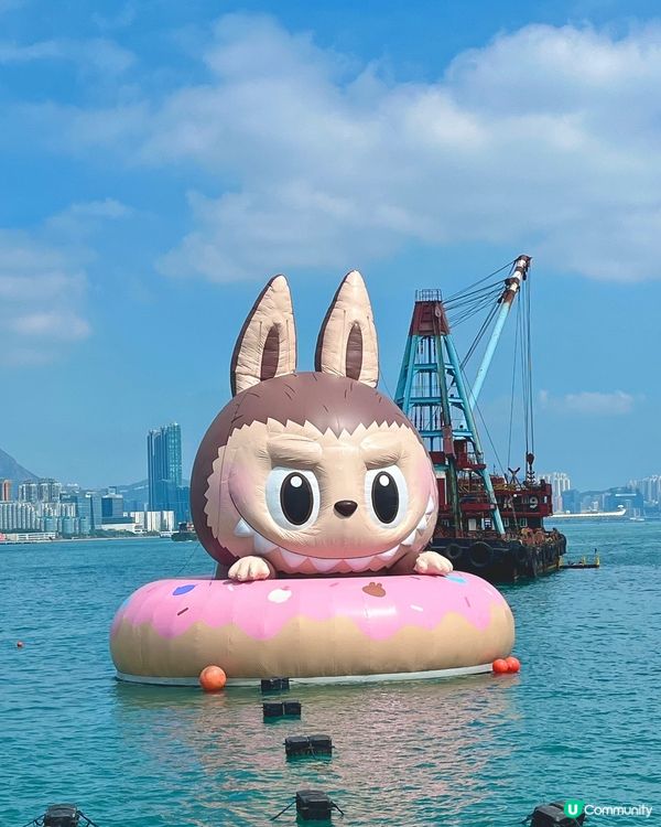 維港海上巡遊！多啦A夢勁吸睛🤩 影相打卡一流！📸