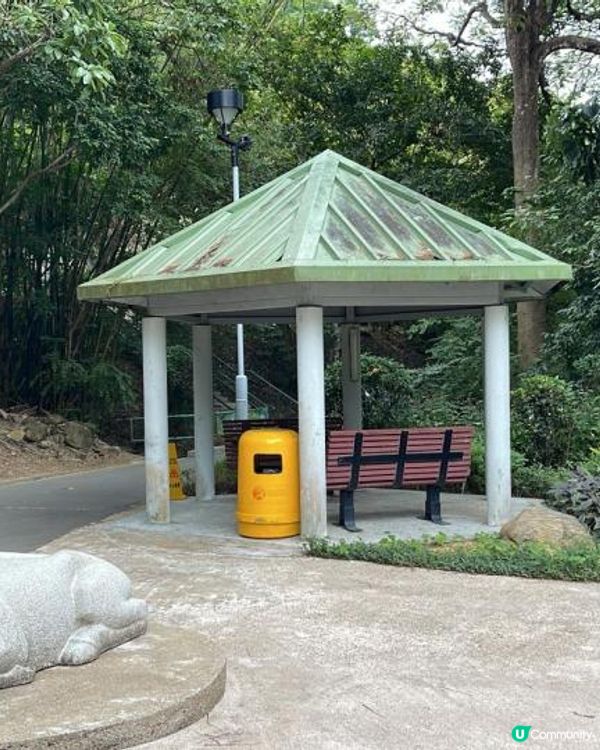 🌿 Walking @lunchhour 🌿