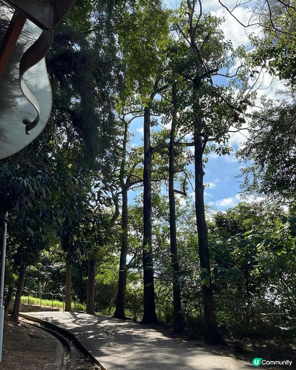 🌿 Walking @lunchhour 🌿