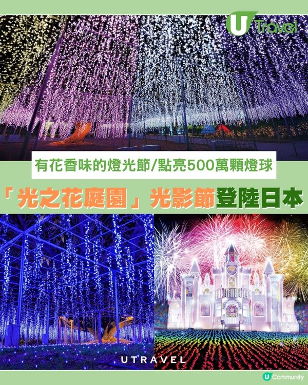 2025 「日本三大光影節」：500萬燈泡 x 逼真花香！