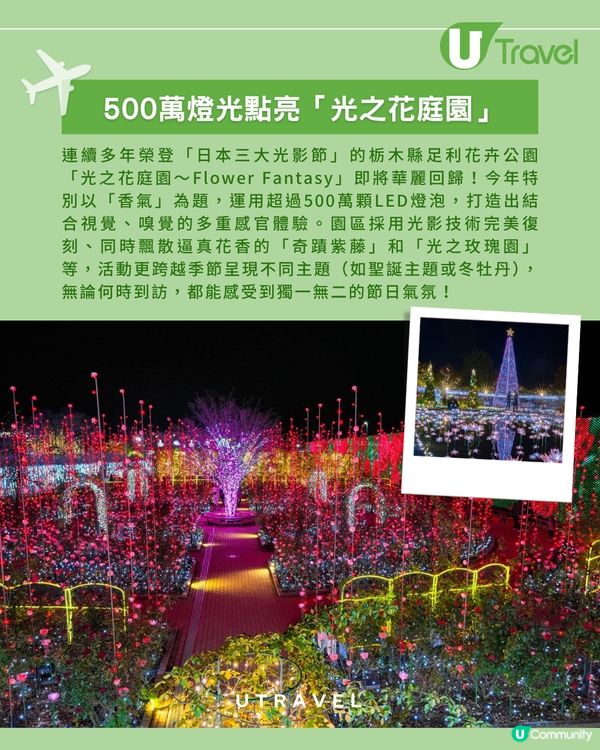 2025 「日本三大光影節」：500萬燈泡 x 逼真花香！