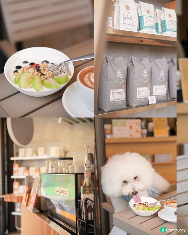 好消息！北角有寵物友善咖啡店新開張🥳！