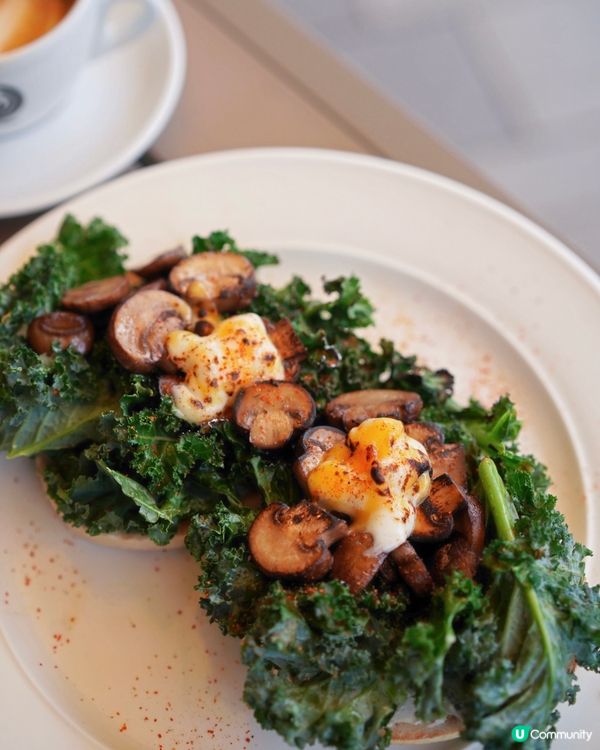 好消息！北角有寵物友善咖啡店新開張🥳！