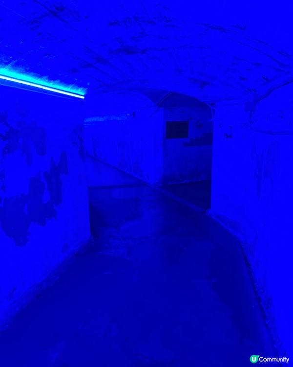 尼瓜拉加大瀑布