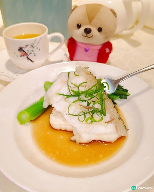 横跨半世紀老號，細味花膠鮑魚扣鵝掌套餐！