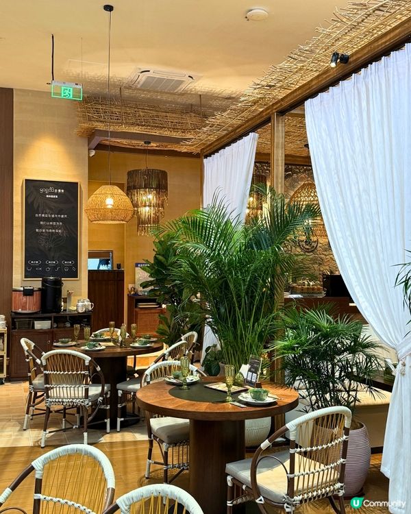 雲南菜😍！深圳都食到傣味啦！😋